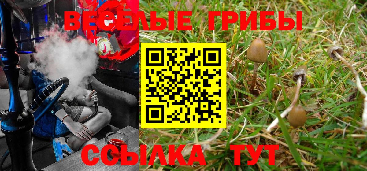 Псилоцибиновые грибы Cubensis  Вход с VPN  Галлюциногенные грибы MAGIC MUSHROOMS  Псков 
