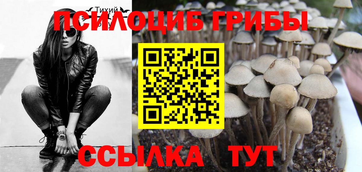 Галлюциногенные грибы прущие грибы Псков